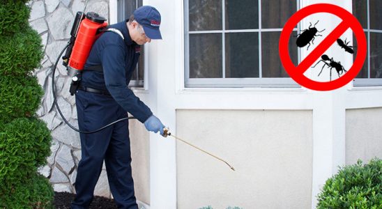Alaybey Bit İlaçlama böcek ilaçlama ve haşere kontrolü — ilaclama-tr.com